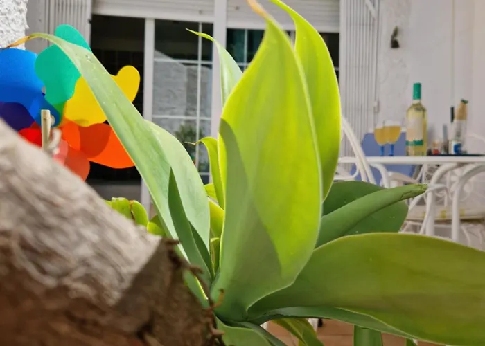 Torremolinos:Appartement avec piscine et terrasse