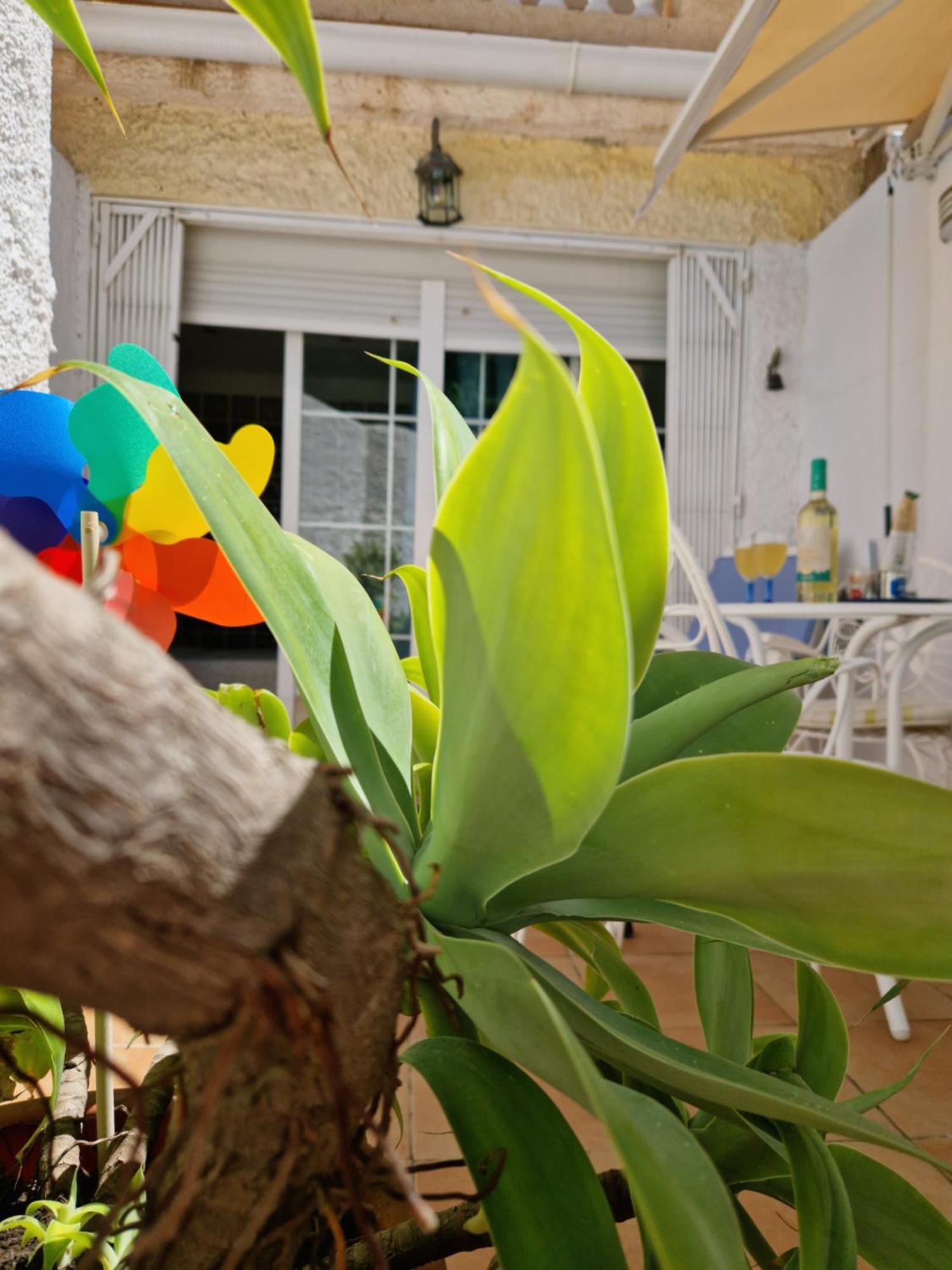 Appartamento Torremolinos:appartement Avec Piscine Et Terrasse *
